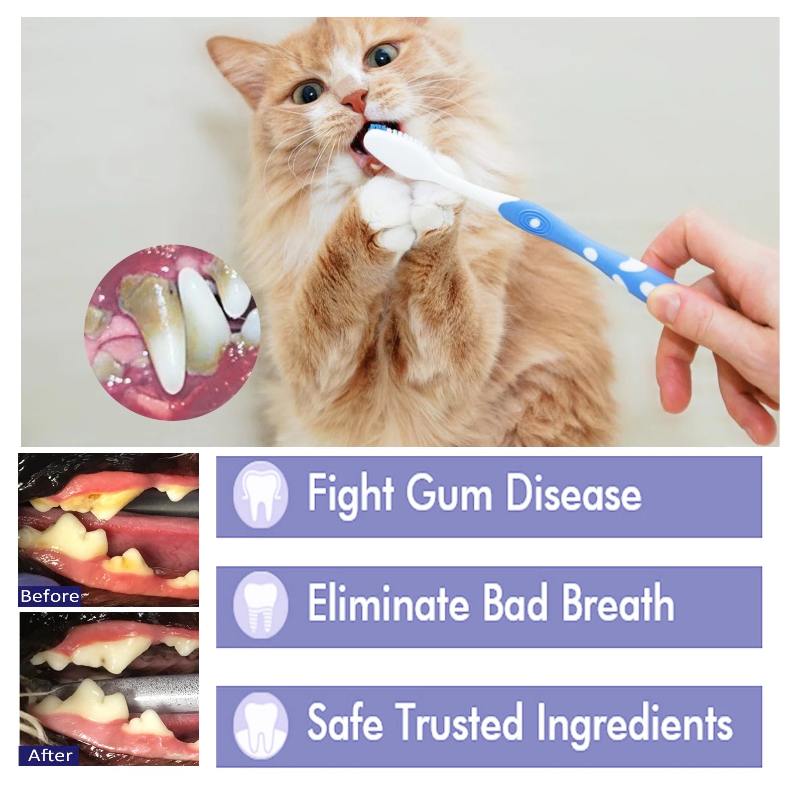 Dental Care Toothpaste