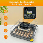 48 Egg Incubator/Auto Temp