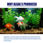 50G Aquarium Algae & Moss Remover