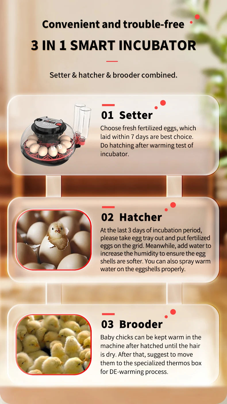 12 Automatic Egg Incubators
