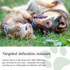 Pet Toilet Training Spray