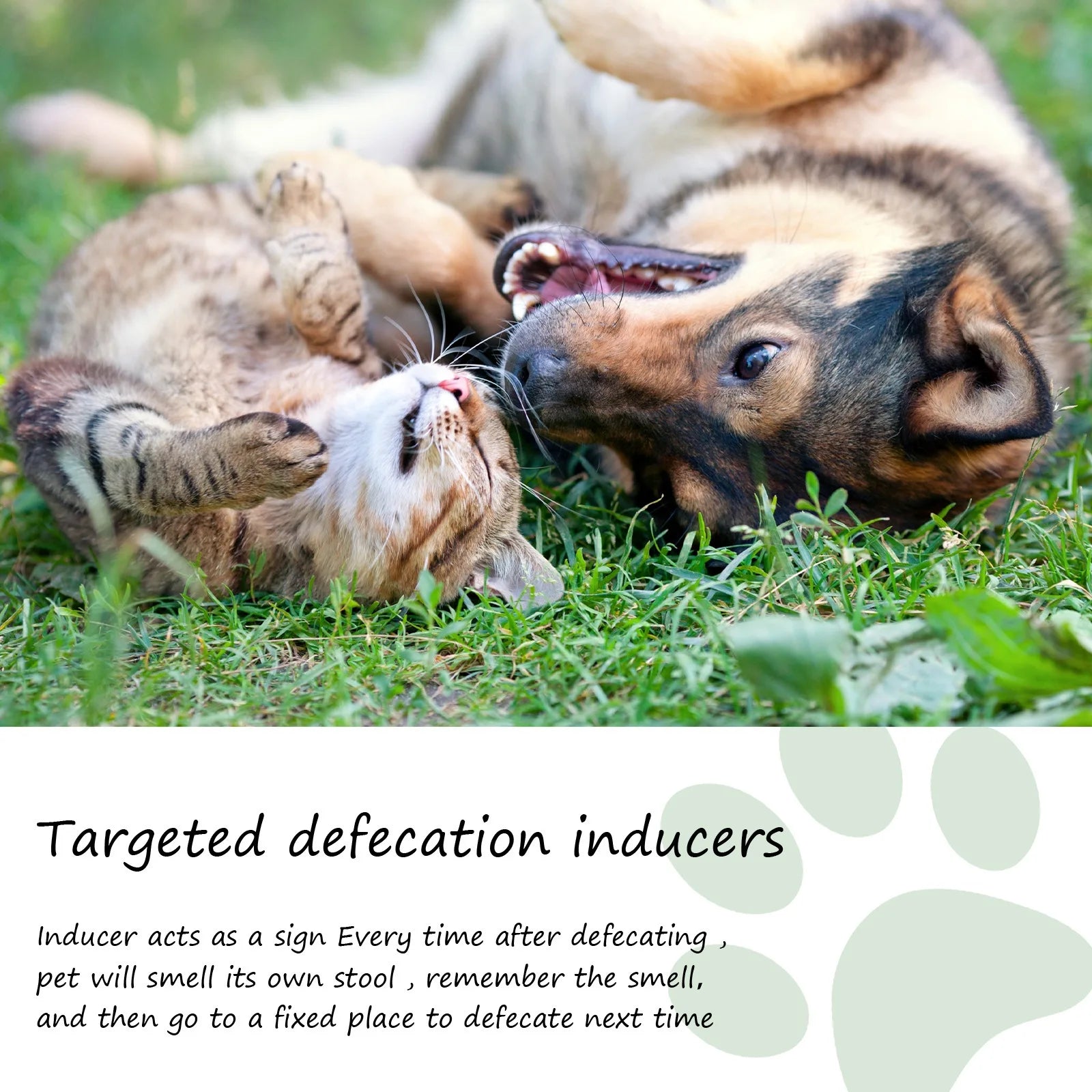 Pet Toilet Training Spray