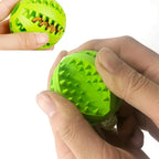 Interactive Dog Tug Toy