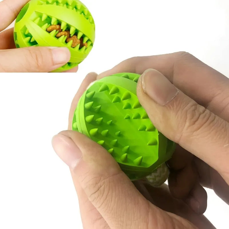 Interactive Dog Tug Toy