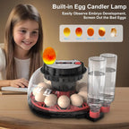 12 Automatic Egg Incubators
