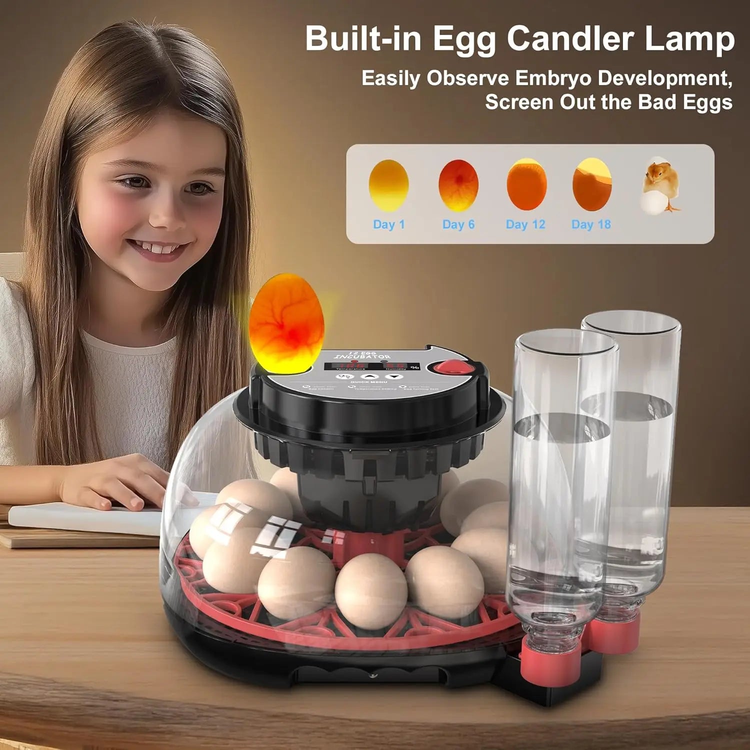 12 Automatic Egg Incubators