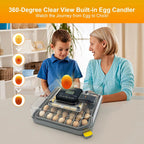 48 Egg Incubator/Auto Temp