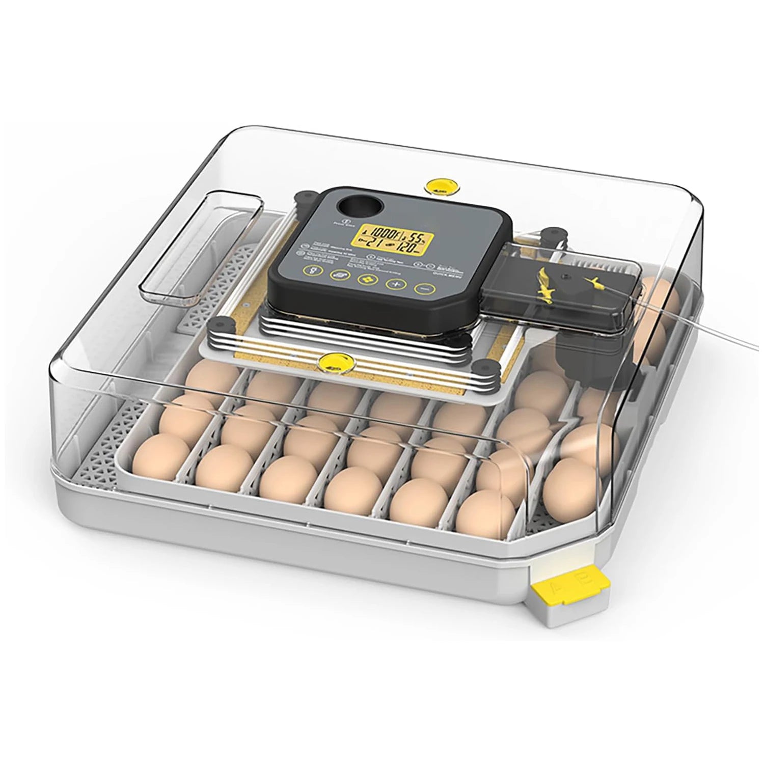 48 Egg Incubator/Auto Temp