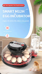 12 Automatic Egg Incubators