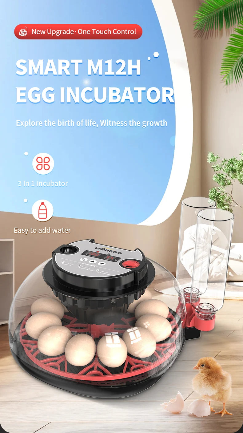 12 Automatic Egg Incubators