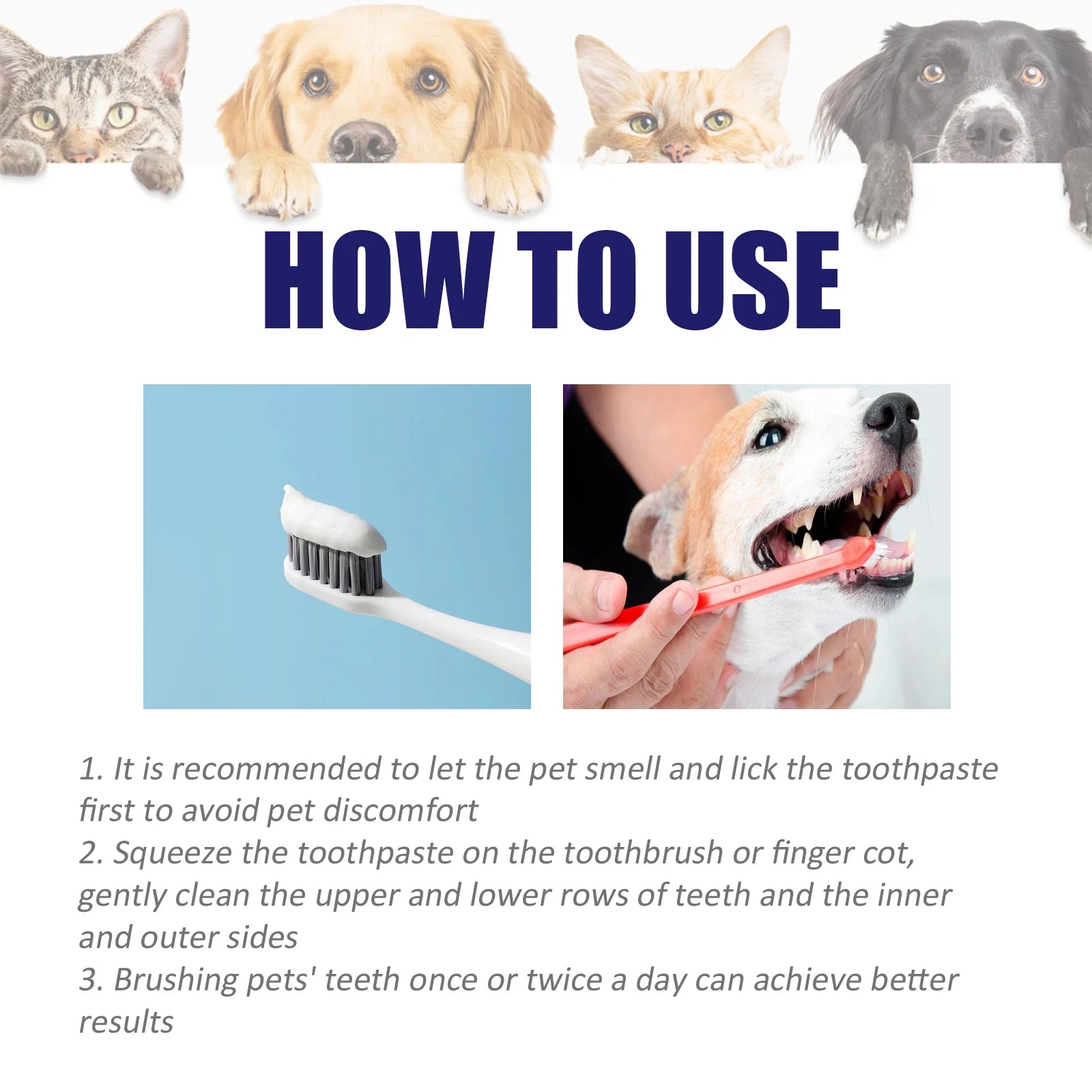 Dental Care Toothpaste