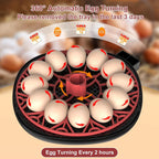 12 Automatic Egg Incubators