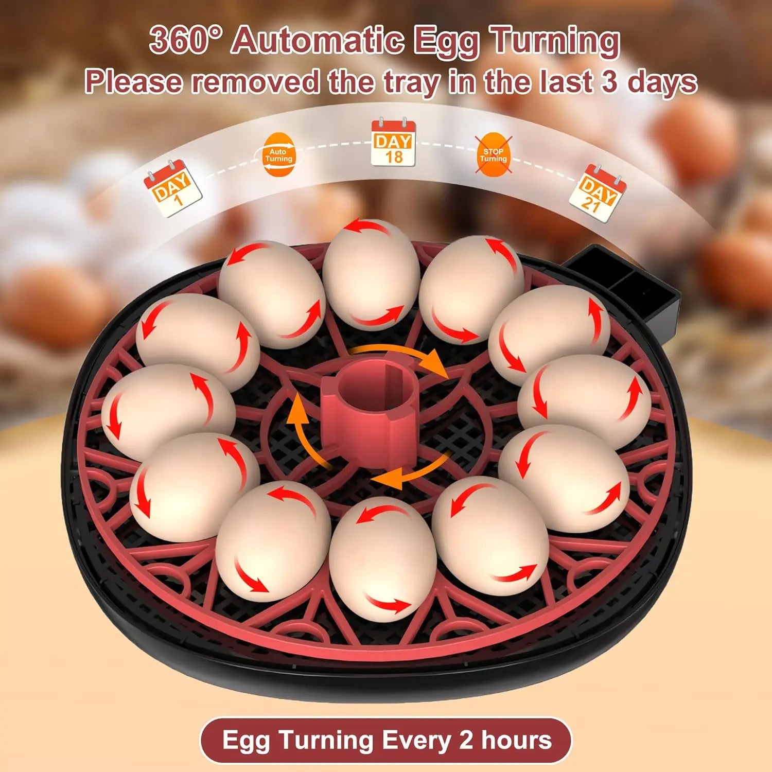 12 Automatic Egg Incubators