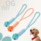 Interactive Dog Tug Toy