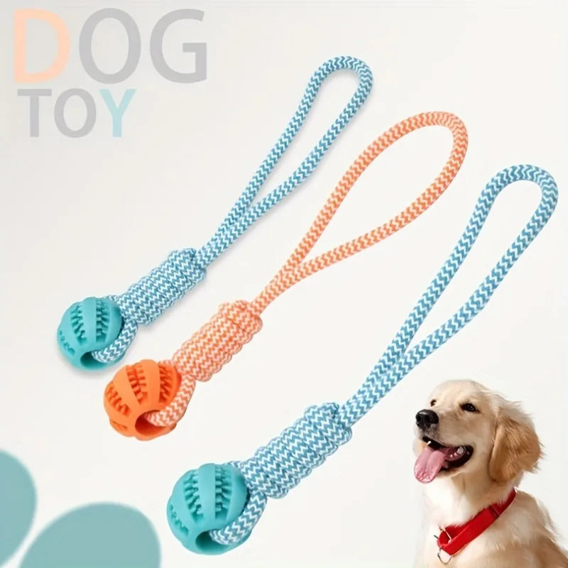 Interactive Dog Tug Toy