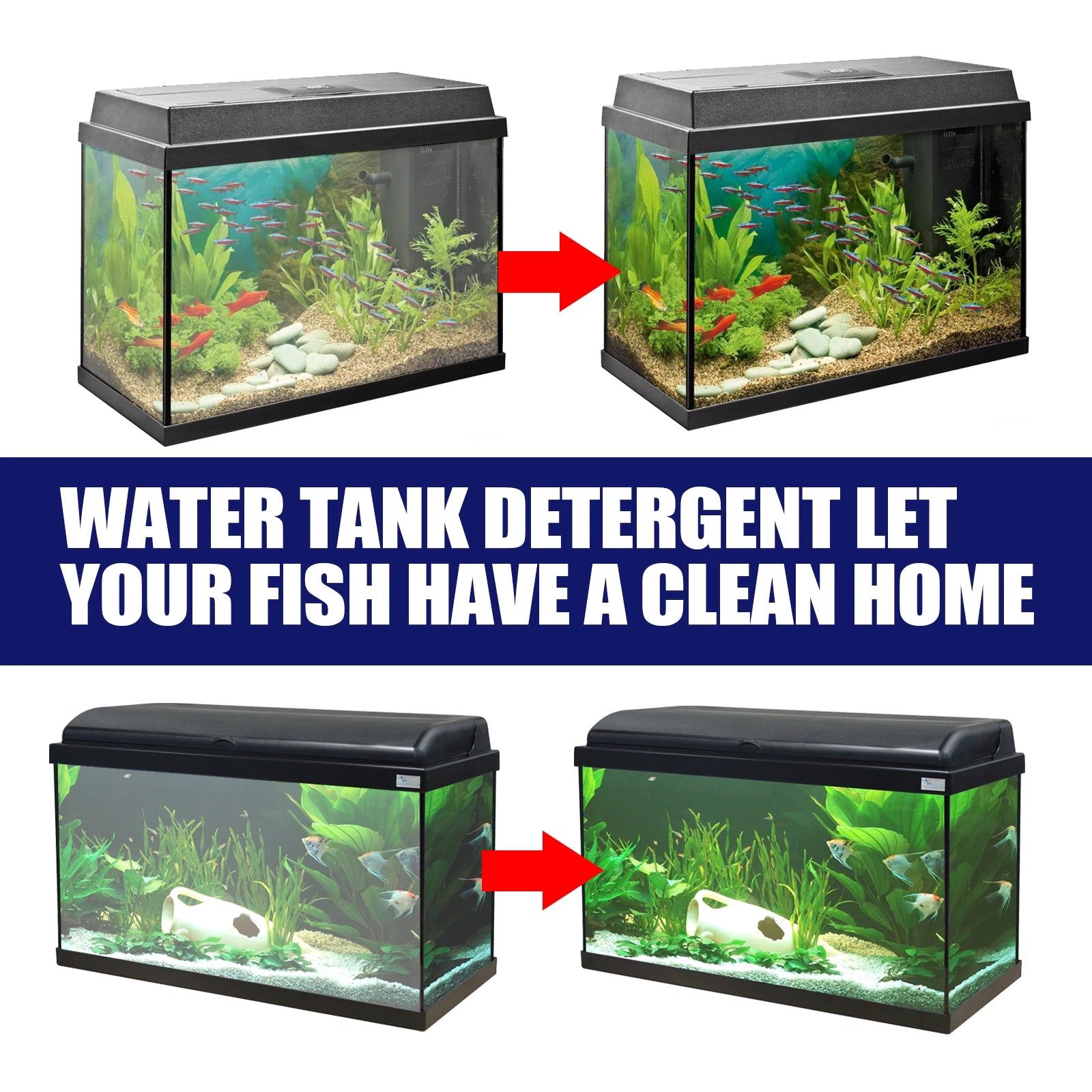 50G Aquarium Algae & Moss Remover