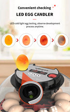 12 Automatic Egg Incubators