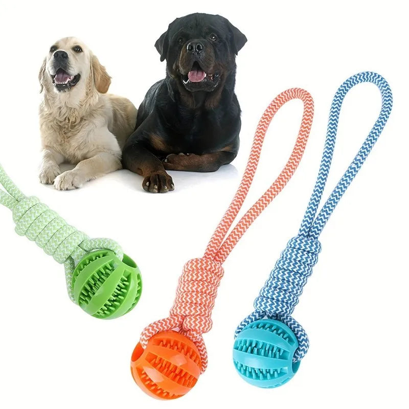 Interactive Dog Tug Toy