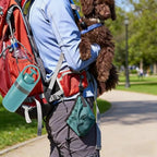 Dog Pooper Scooper