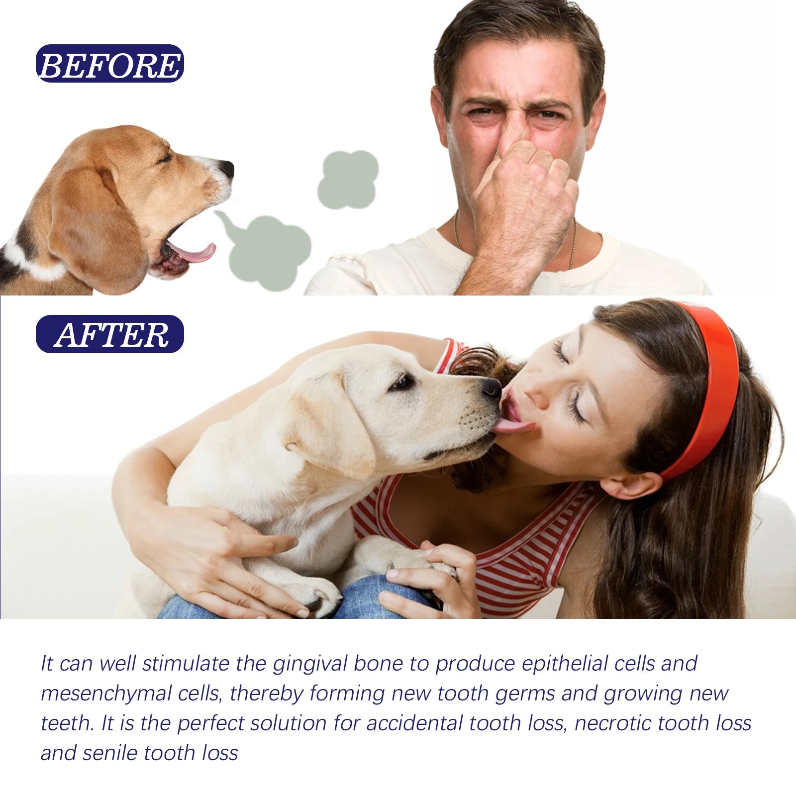 Dental Care Toothpaste