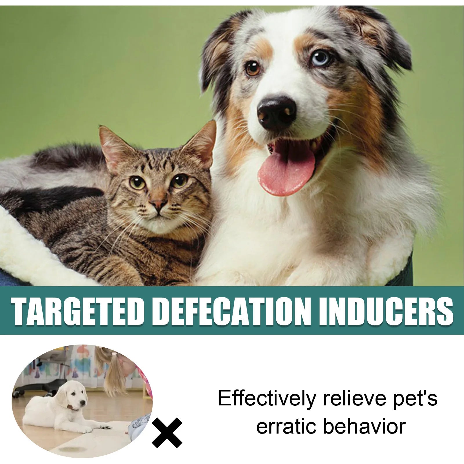 Pet Toilet Training Spray