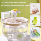 Indoor Bird Bath Fountain
