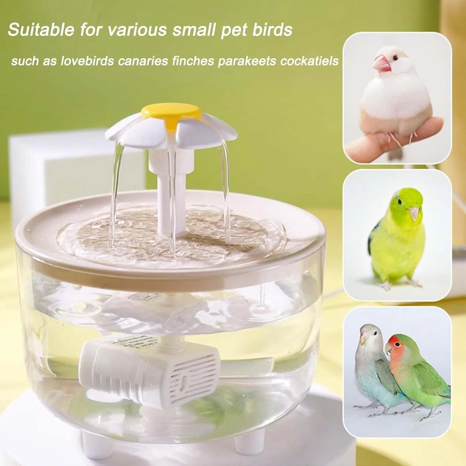 Indoor Bird Bath Fountain