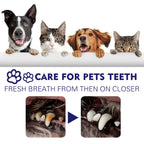 Dental Care Toothpaste