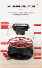 12 Automatic Egg Incubators