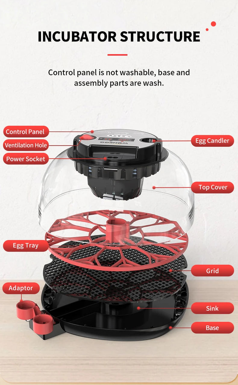 12 Automatic Egg Incubators