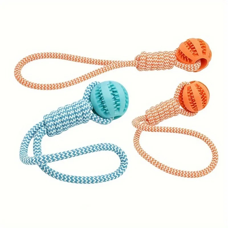 Interactive Dog Tug Toy