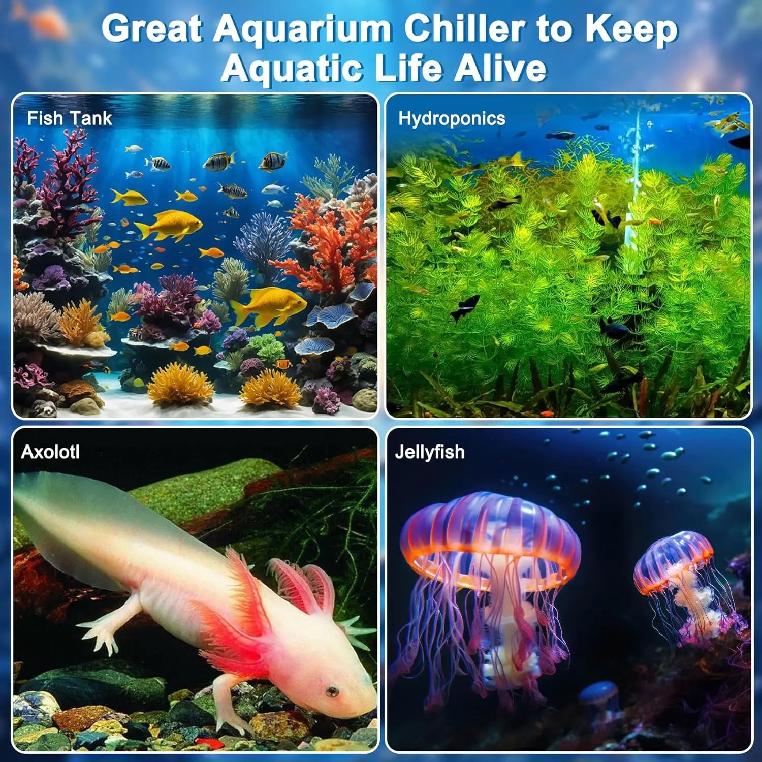 Fish Tank 79Gal Hydroponic Water Chiller