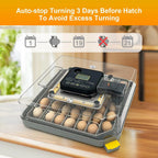 48 Egg Incubator/Auto Temp