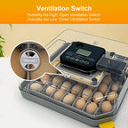 48 Egg Incubator/Auto Temp