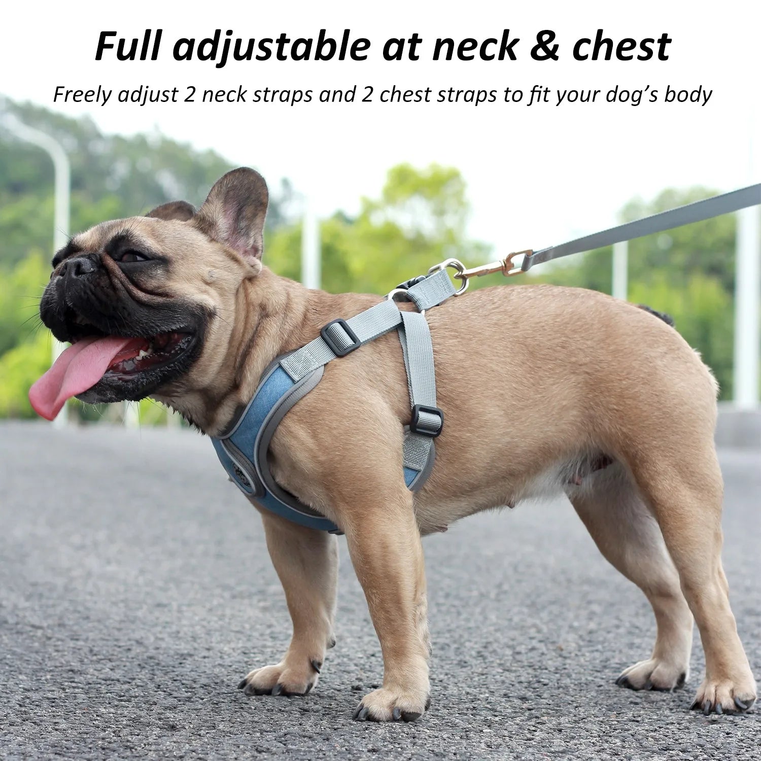 Dog Harness Vest Small D