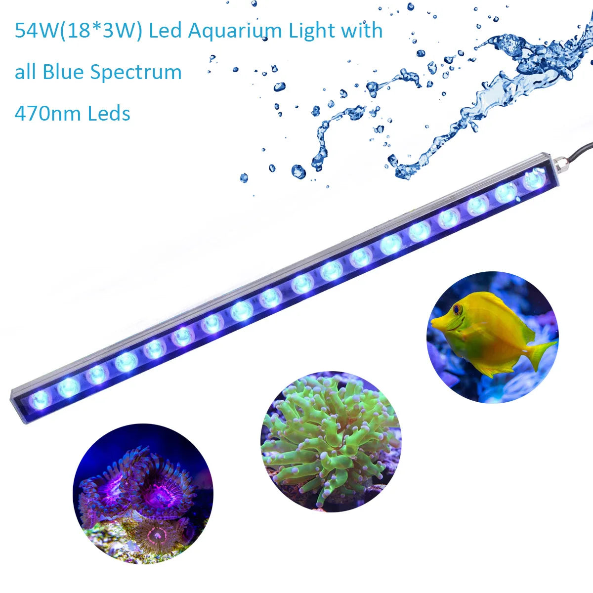 Aquarium Light/Blue Spectrum Leds