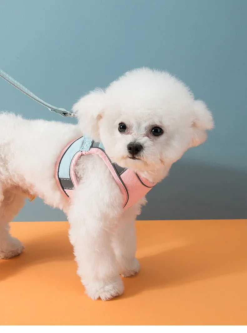 Pet Leash Night Fluoresce Vest