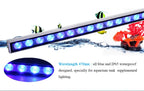 Underwater Lamp Aquariums Lighting
