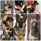 Dog Training Collar Tactical