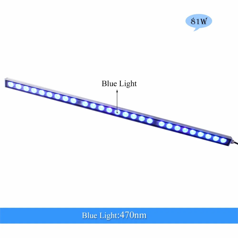 Aquarium Light/Blue Spectrum Leds