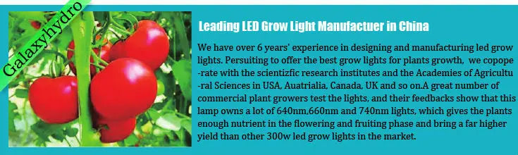 Underwater Lamp Aquariums Lighting