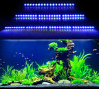Underwater Lamp Aquariums Lighting