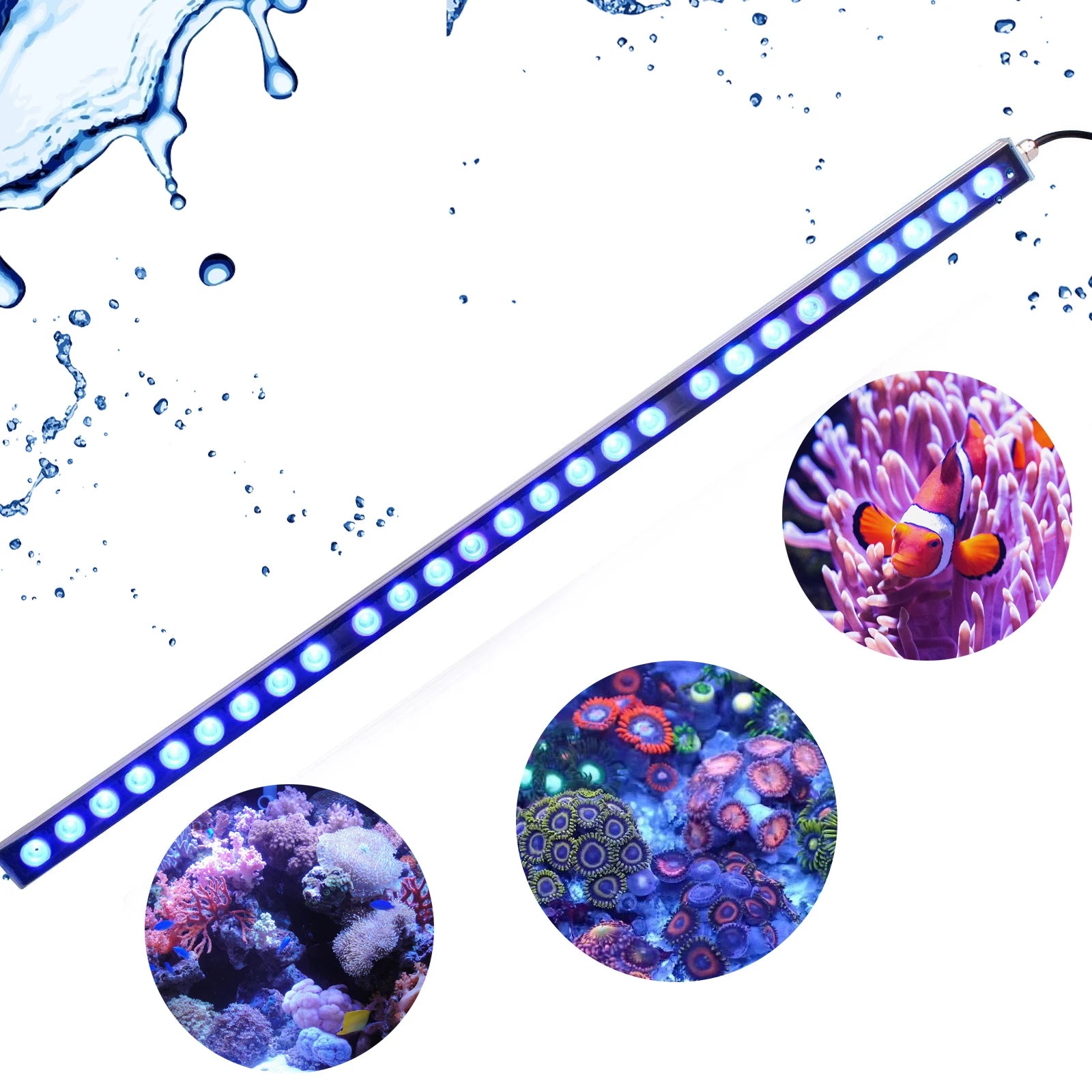 Aquarium Light/Blue Spectrum Leds