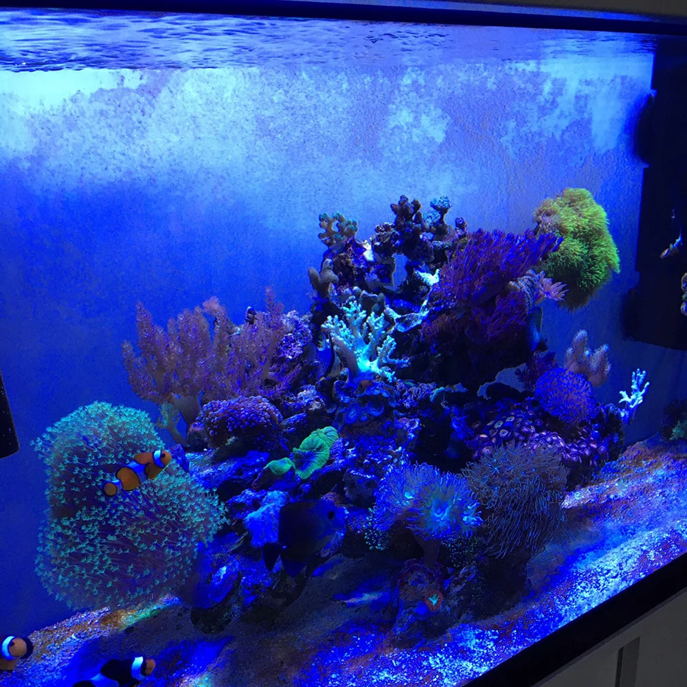 Underwater Lamp Aquariums Lighting