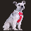 Pet Dog Harness Vest