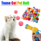 Launch Training For Kittens