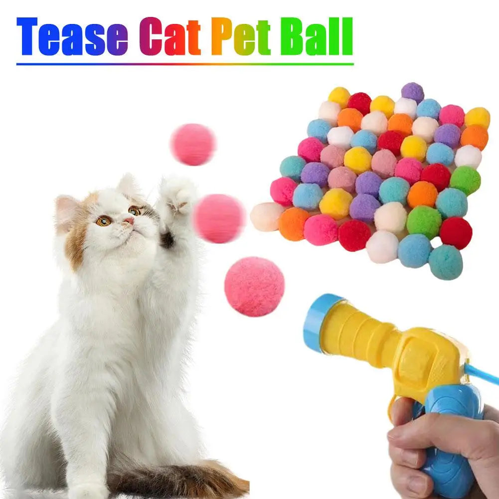 Launch Training For Kittens