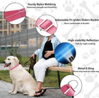Adjustable Martingale Dog Collar, Reflective