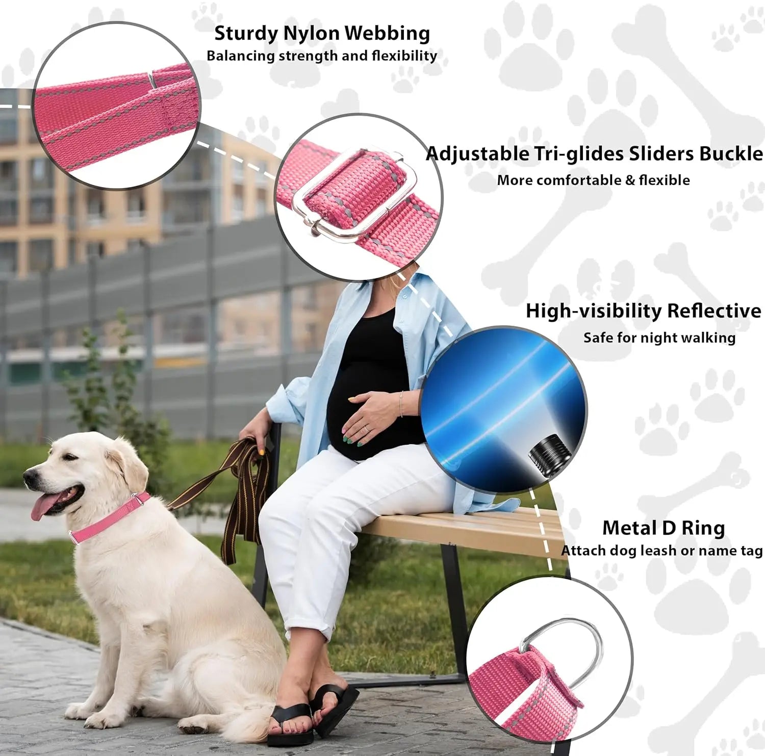 Adjustable Martingale Dog Collar, Reflective