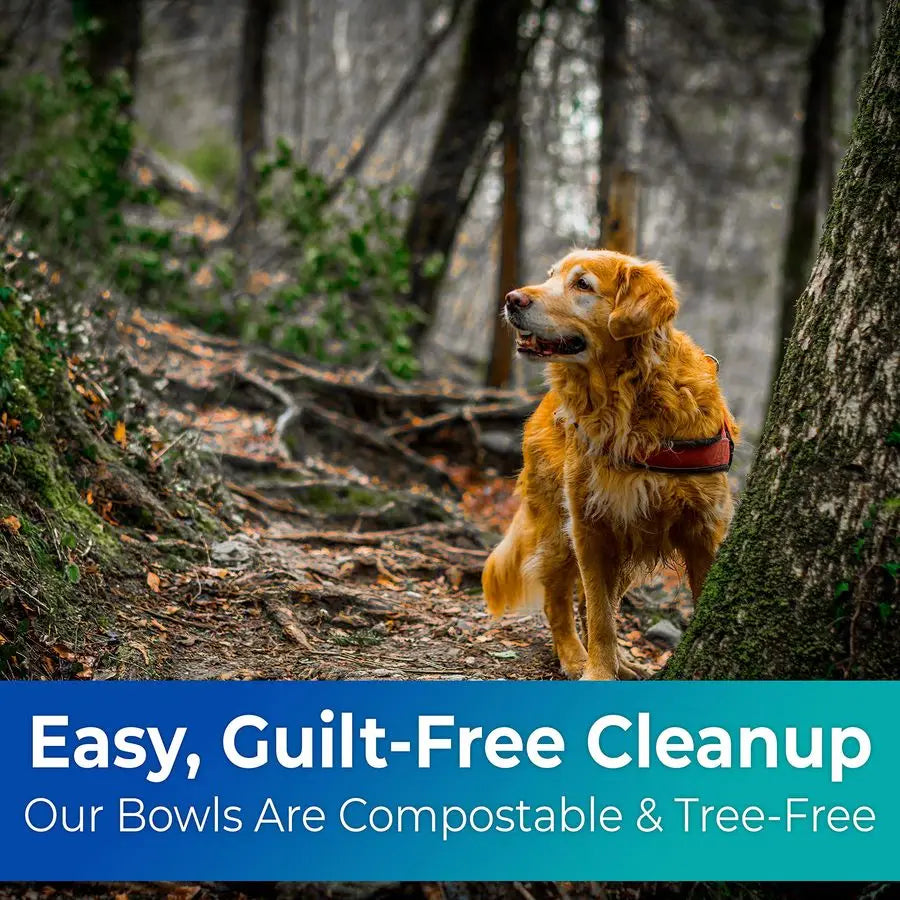 Biodegradable/Disposable Pet Bowls